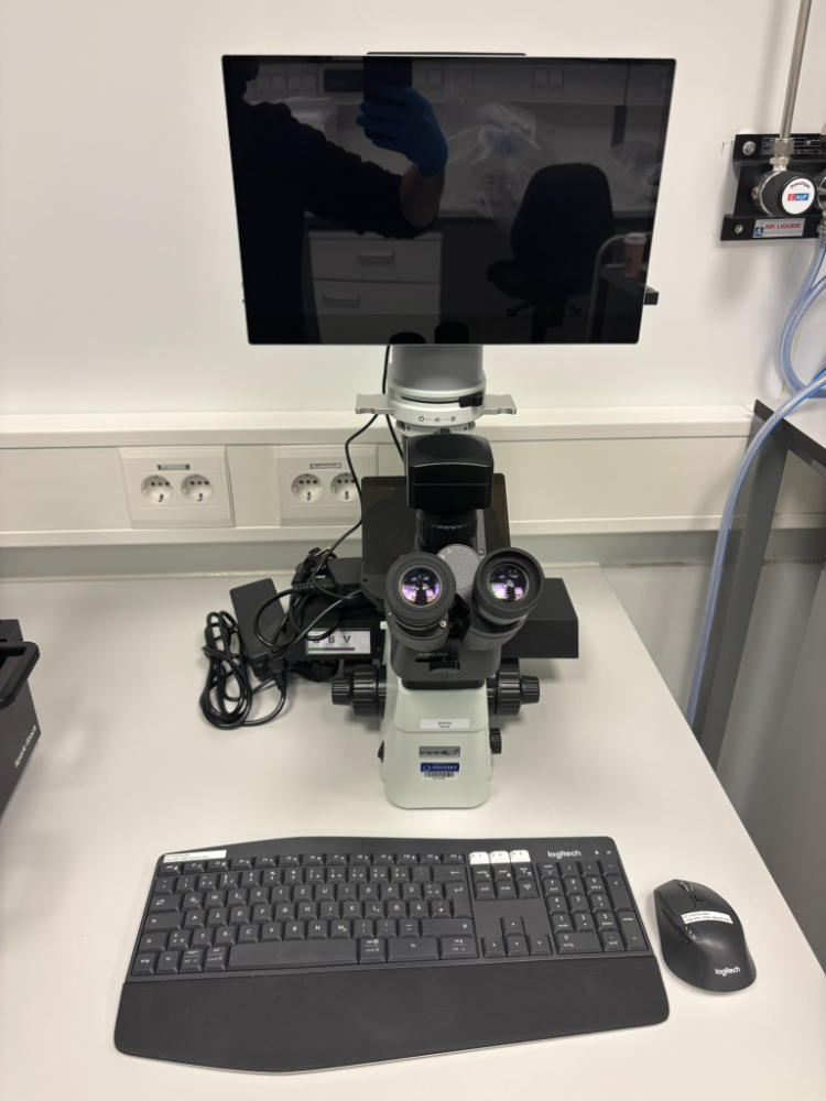 Image of VWR Inverted Microscope